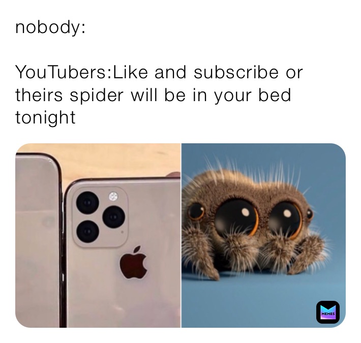 nobody:

YouTubers:Like and subscribe or theirs spider will be in your bed tonight 