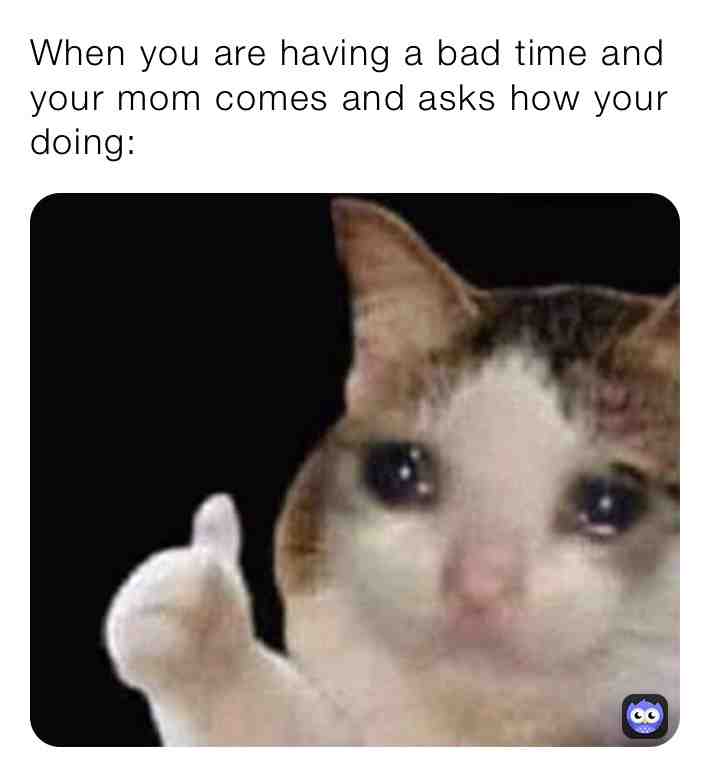 #memes #funny #caption