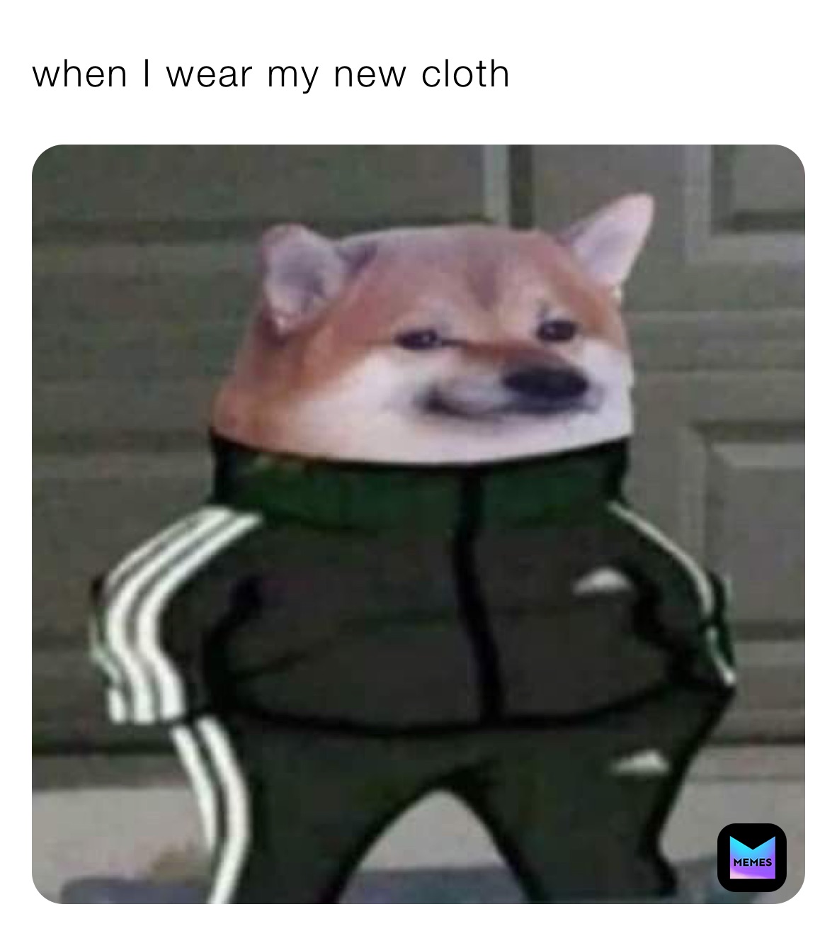 when I wear my new cloth ￼