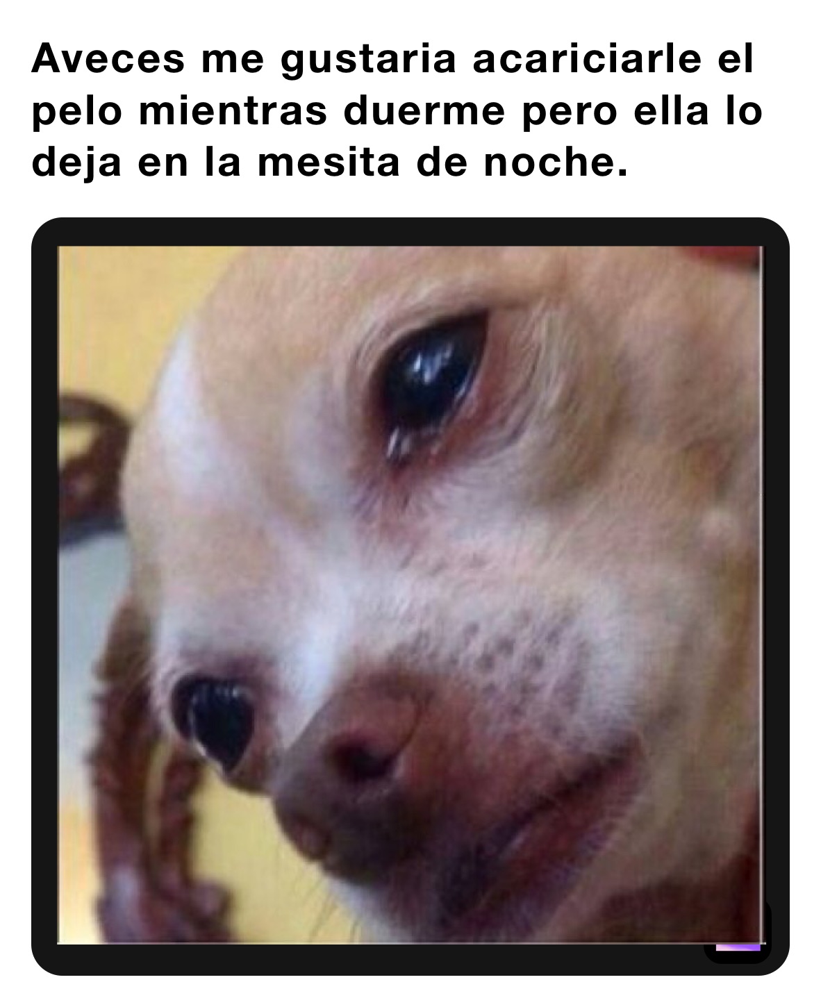 Meme by elcreisi1213