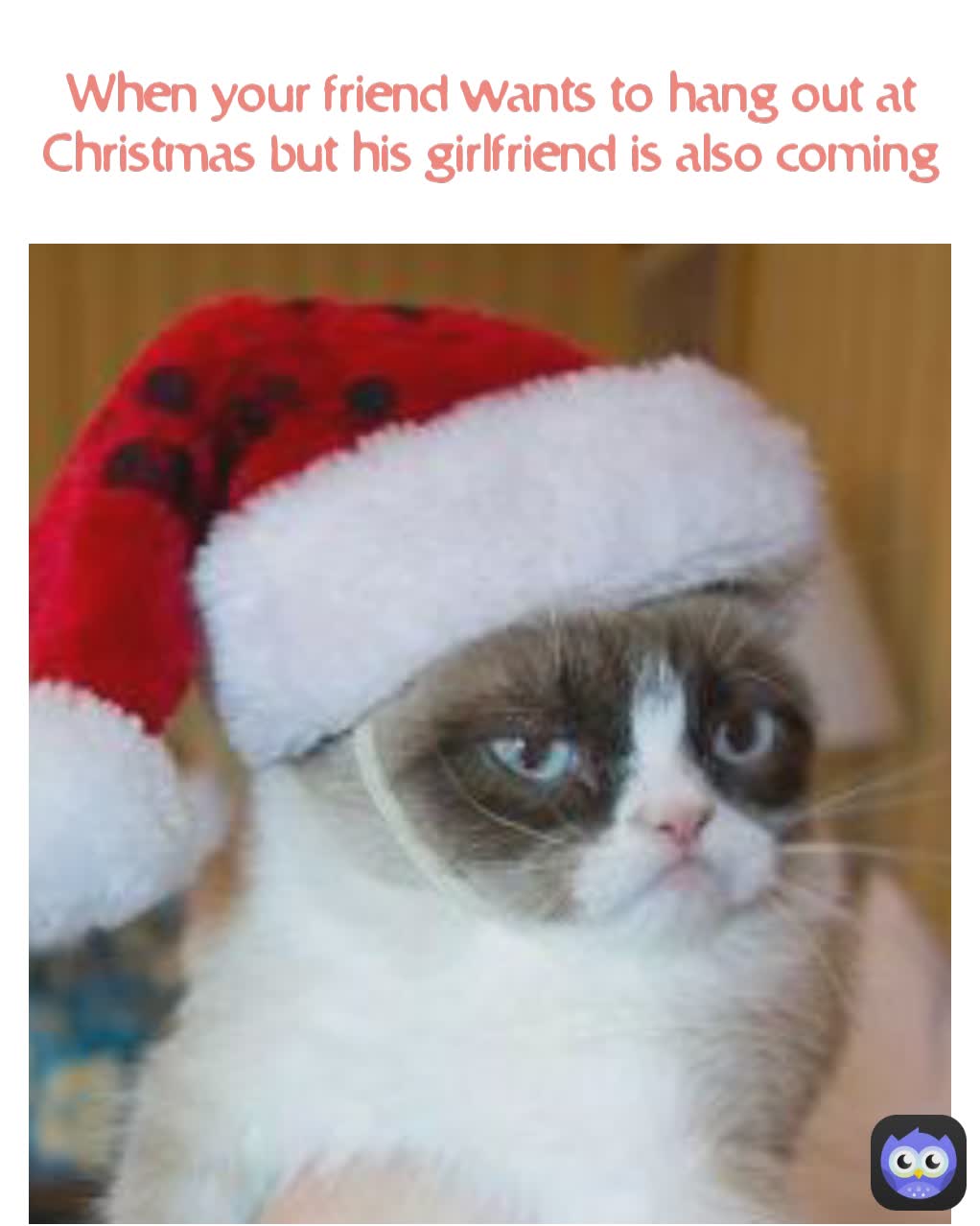 When your friend wants to hang out at Christmas but his girlfriend is also coming
