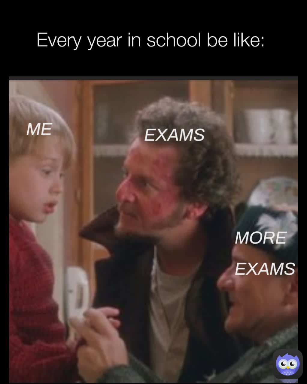 Every year in school be like: 