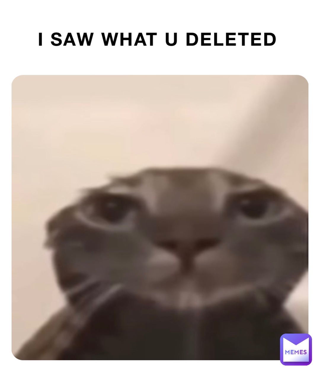 I SAW WHAT U DELETED