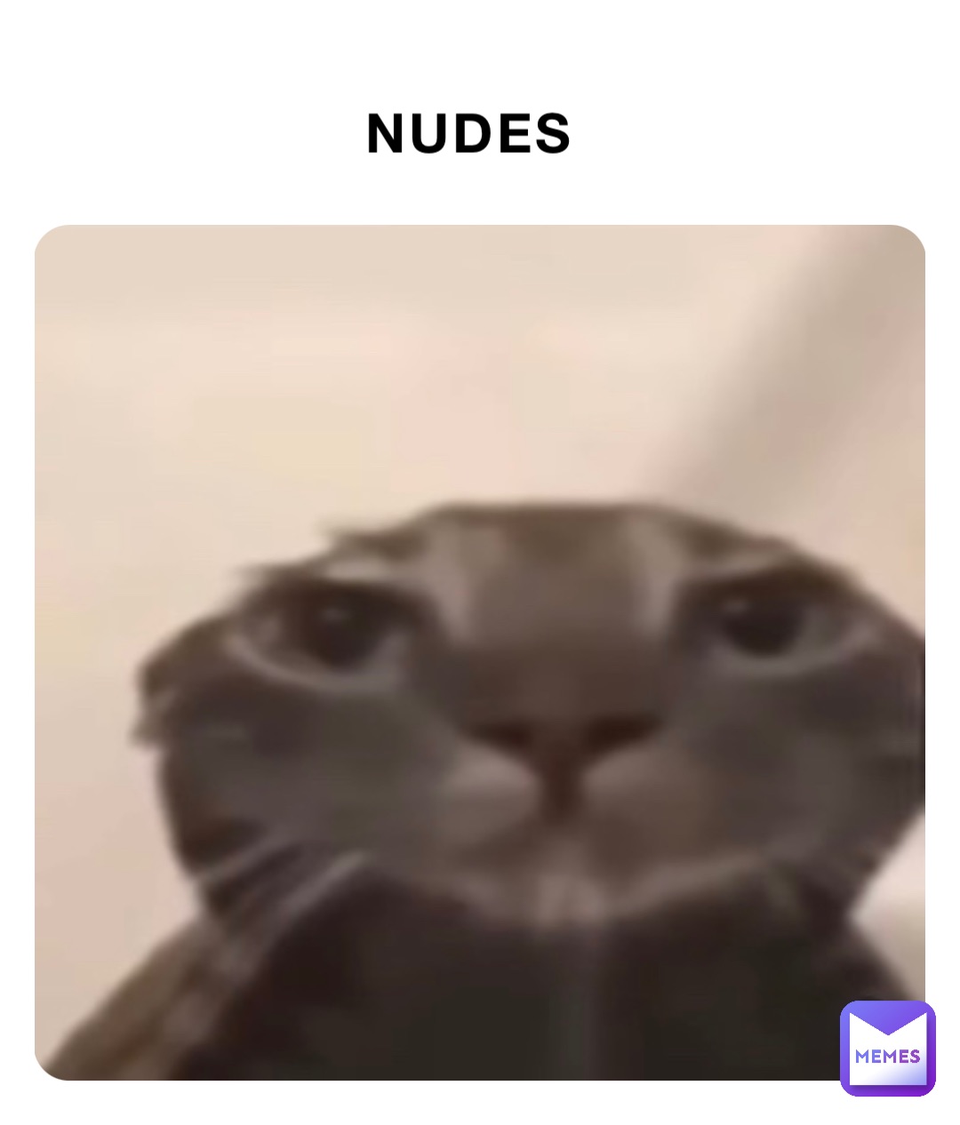 NUDES