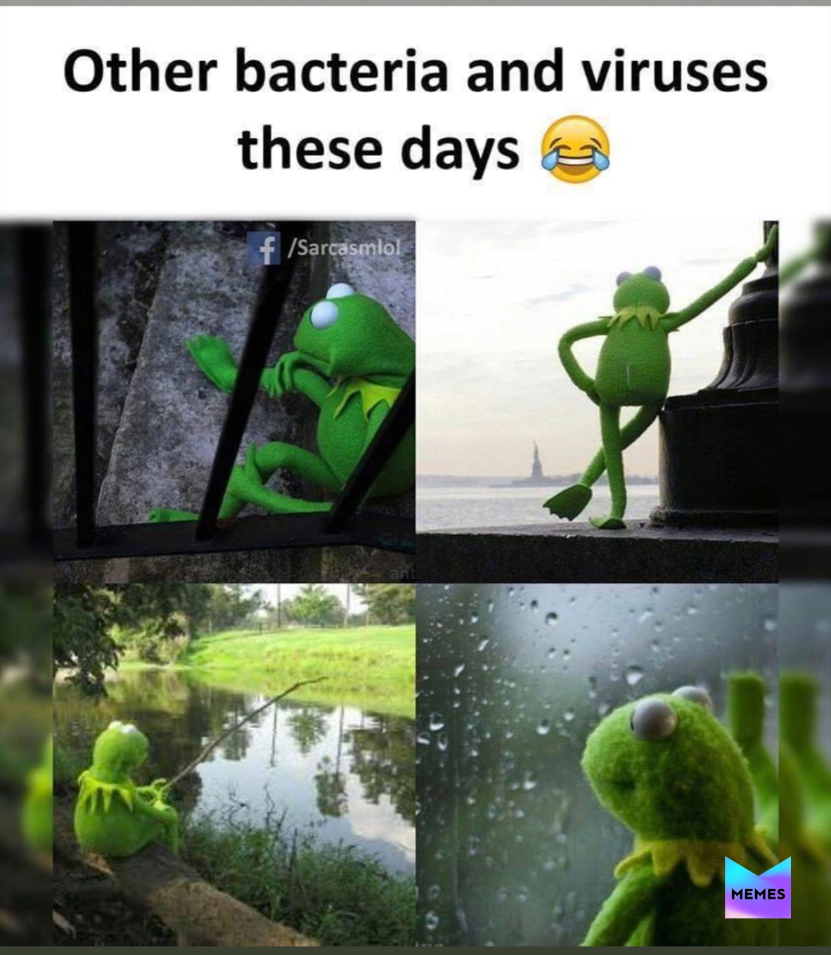 ud83c\udffb\ud83d\ude0a Source Fb page /sarcasmlol #coronavirus #kermit #ke...