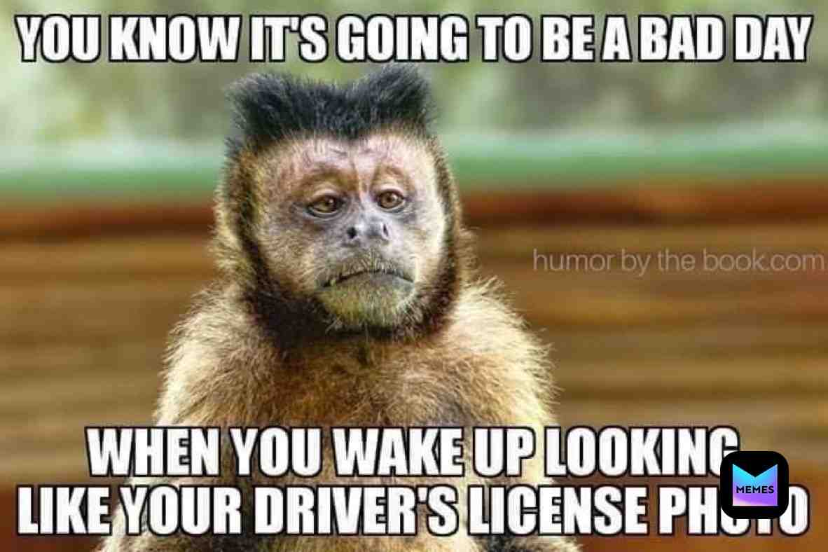 We all know it
#driver #badday #bad #memes #meme #money