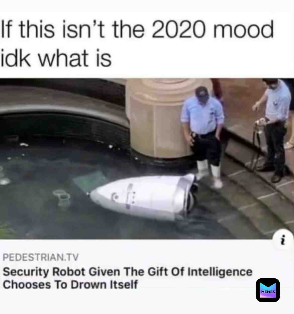 Even the bots are over 2020 #2020 #2020memes #2020sucks #2020meme #memes #meme #bots #robots
