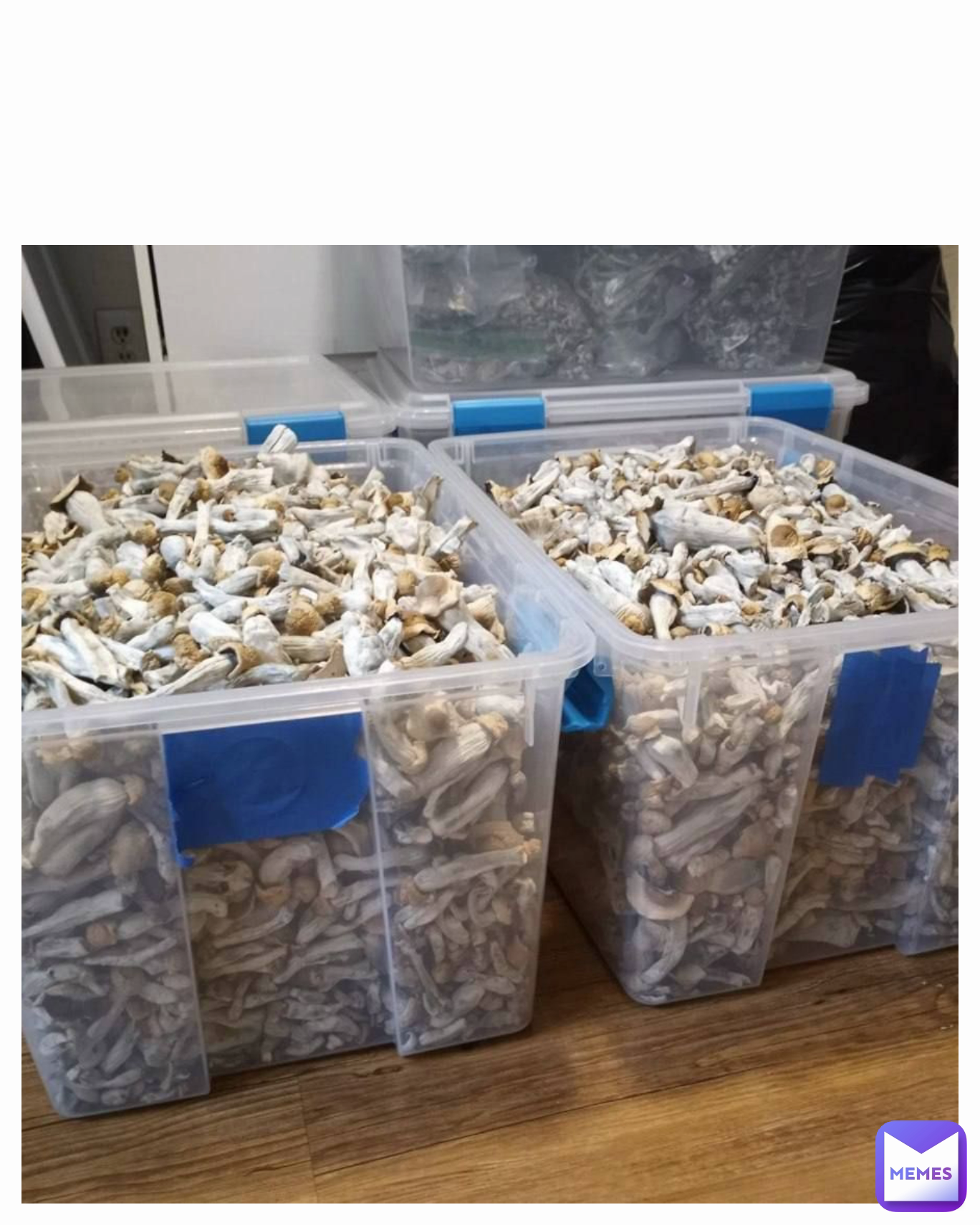 Meme by psychedelics_store