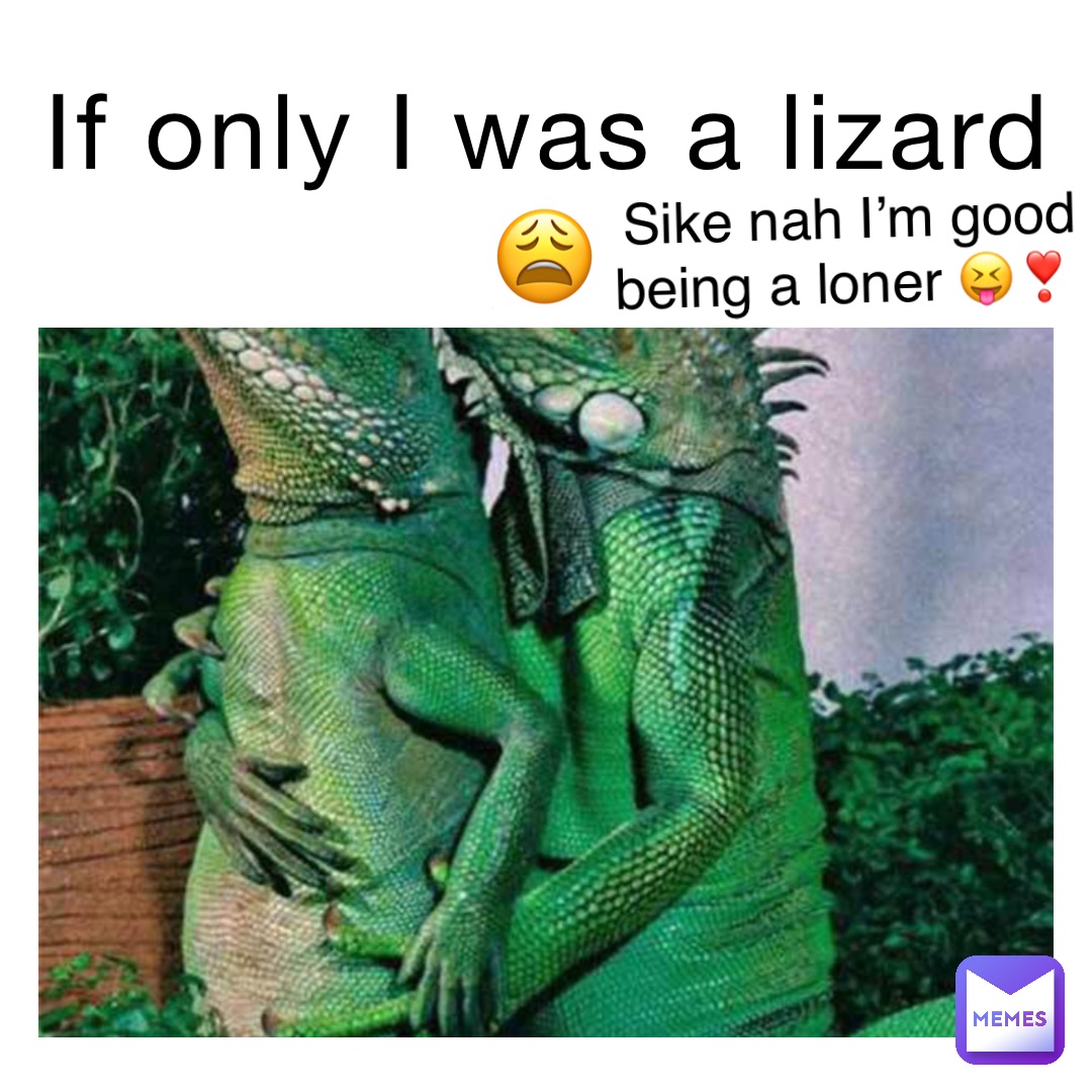 If only I was a lizard 😩 Sike nah I’m good being a loner 😝❣️