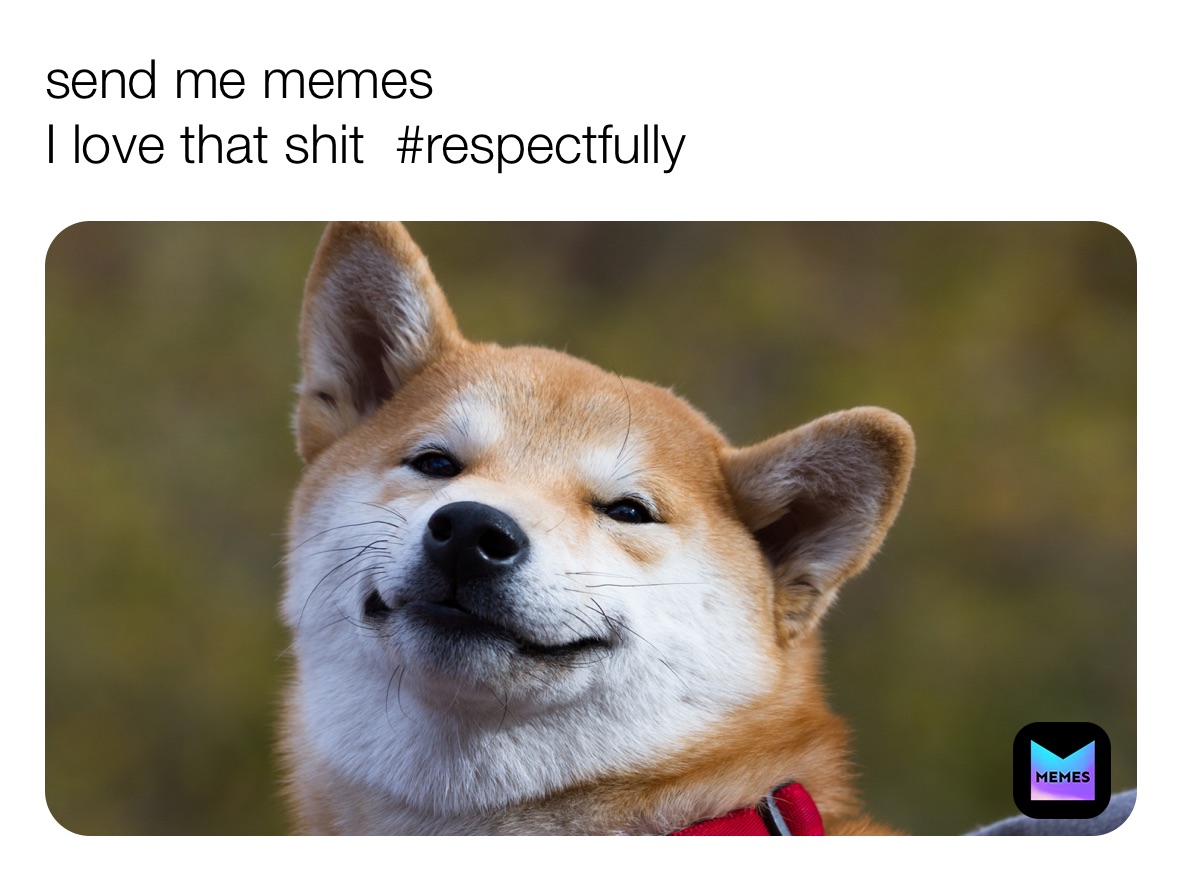 send me memes
I love that shit  #respectfully