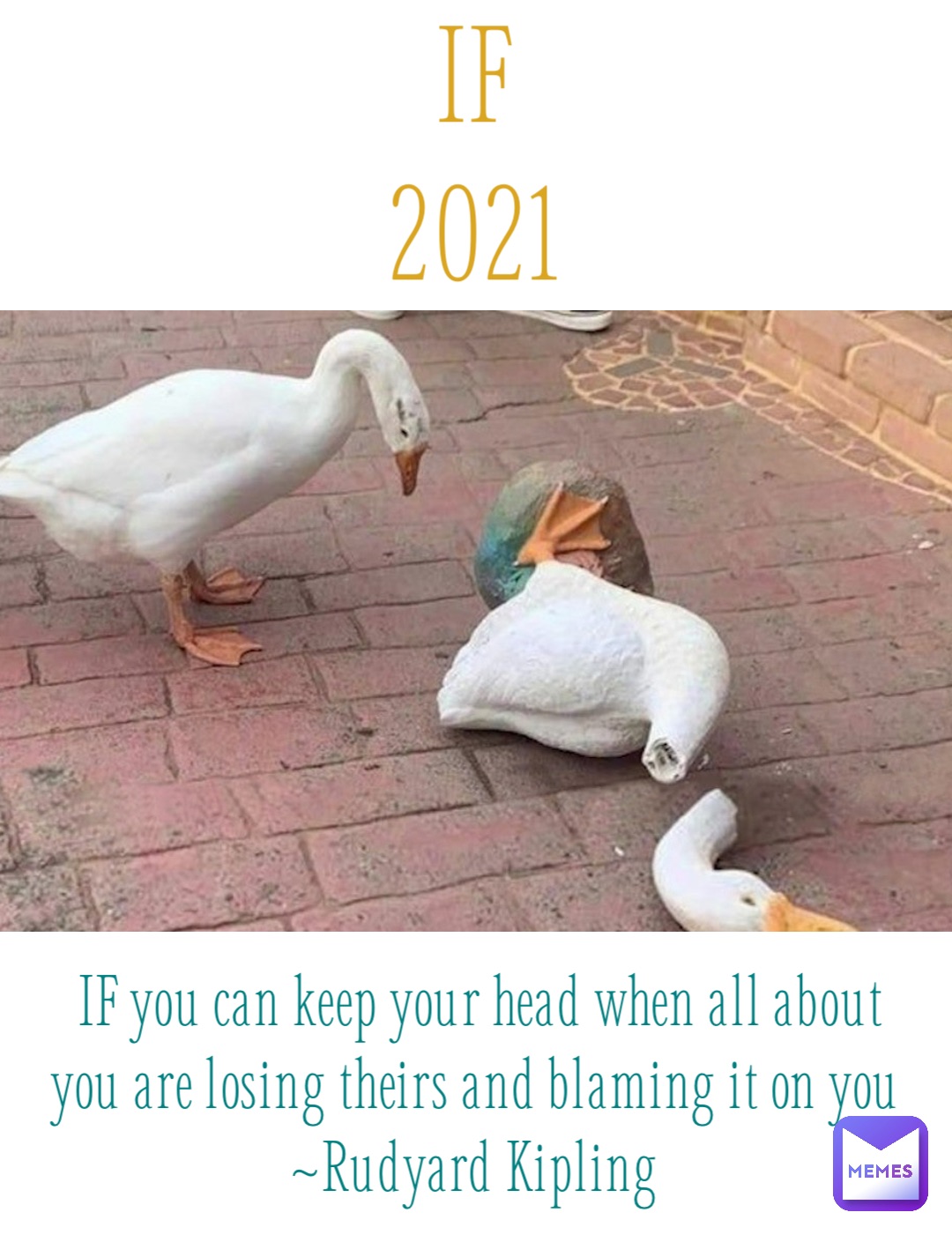 IF
2021 IF you can keep your head when all about you are losing theirs and blaming it on you
~Rudyard Kipling