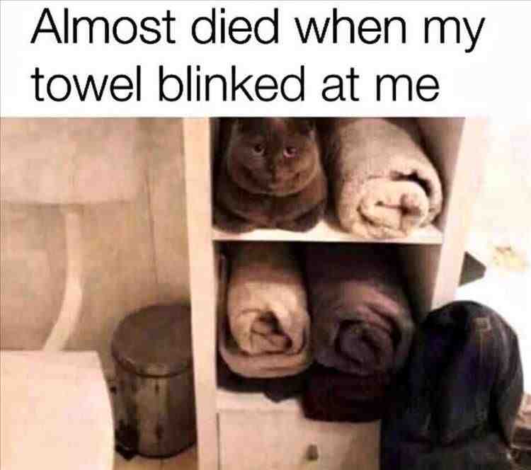 Meme shared by @MONKAY_1000