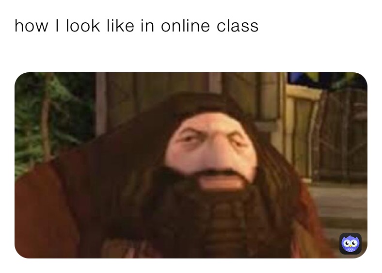 Meme by coronavirus_guy