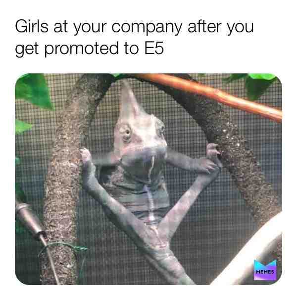 \ud83e\udd23\ud83d\ude02
Tag your friends.
Follow \u27a1\ufe0f @soldiermemes for more funny memes.
 #funnypost  #funnymemes  #lol  #explorepage  #viral  #dankmemes  #memesapp  #nevergiveup  #milita #armystrong