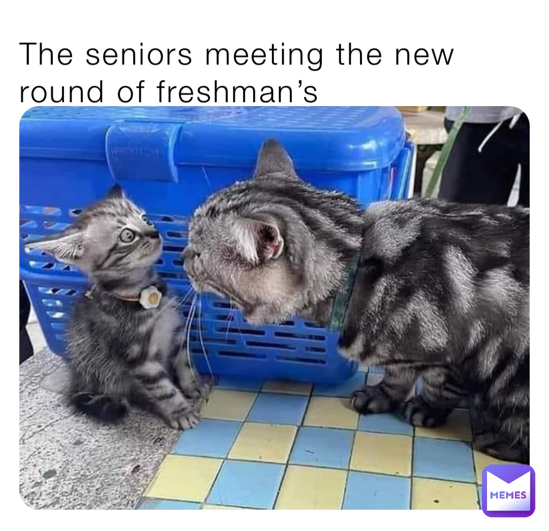 The seniors meeting the new round of freshman’s