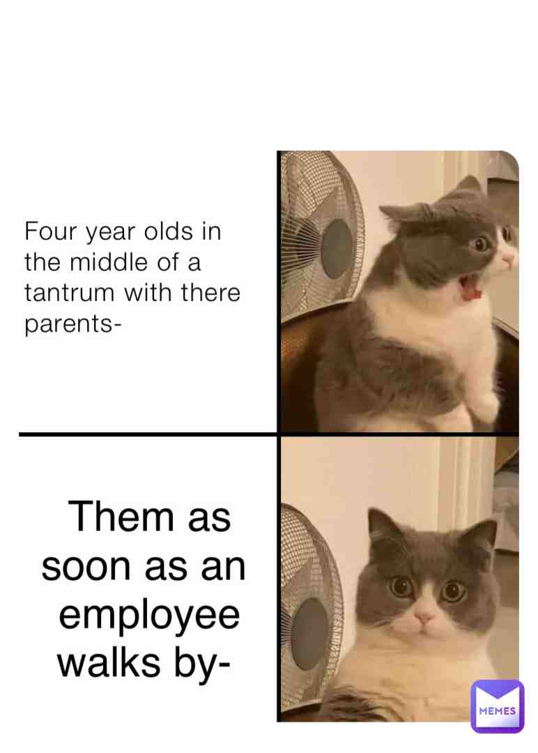 4 yr olds be like: