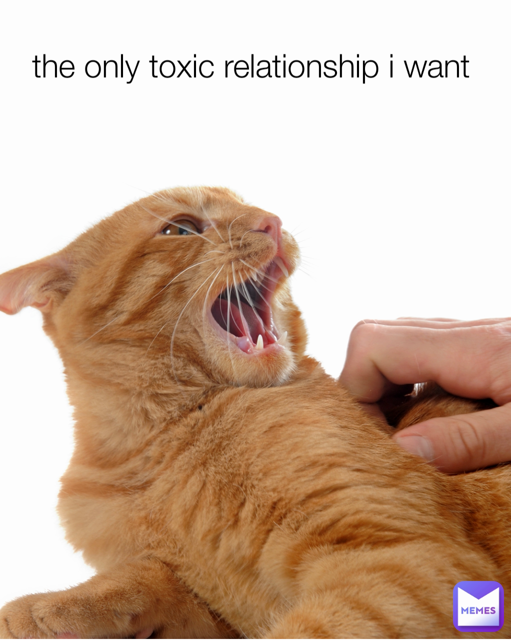 the only toxic relationship i want 