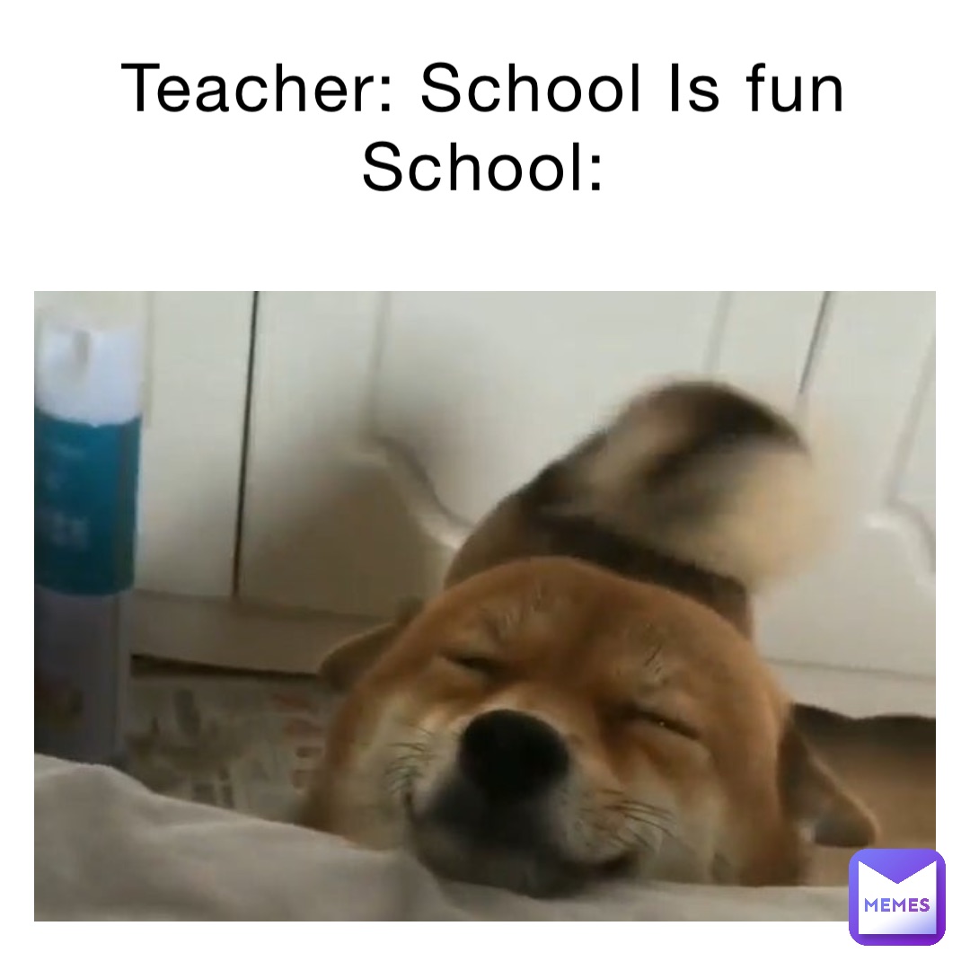 Teacher: School Is fun 
School: