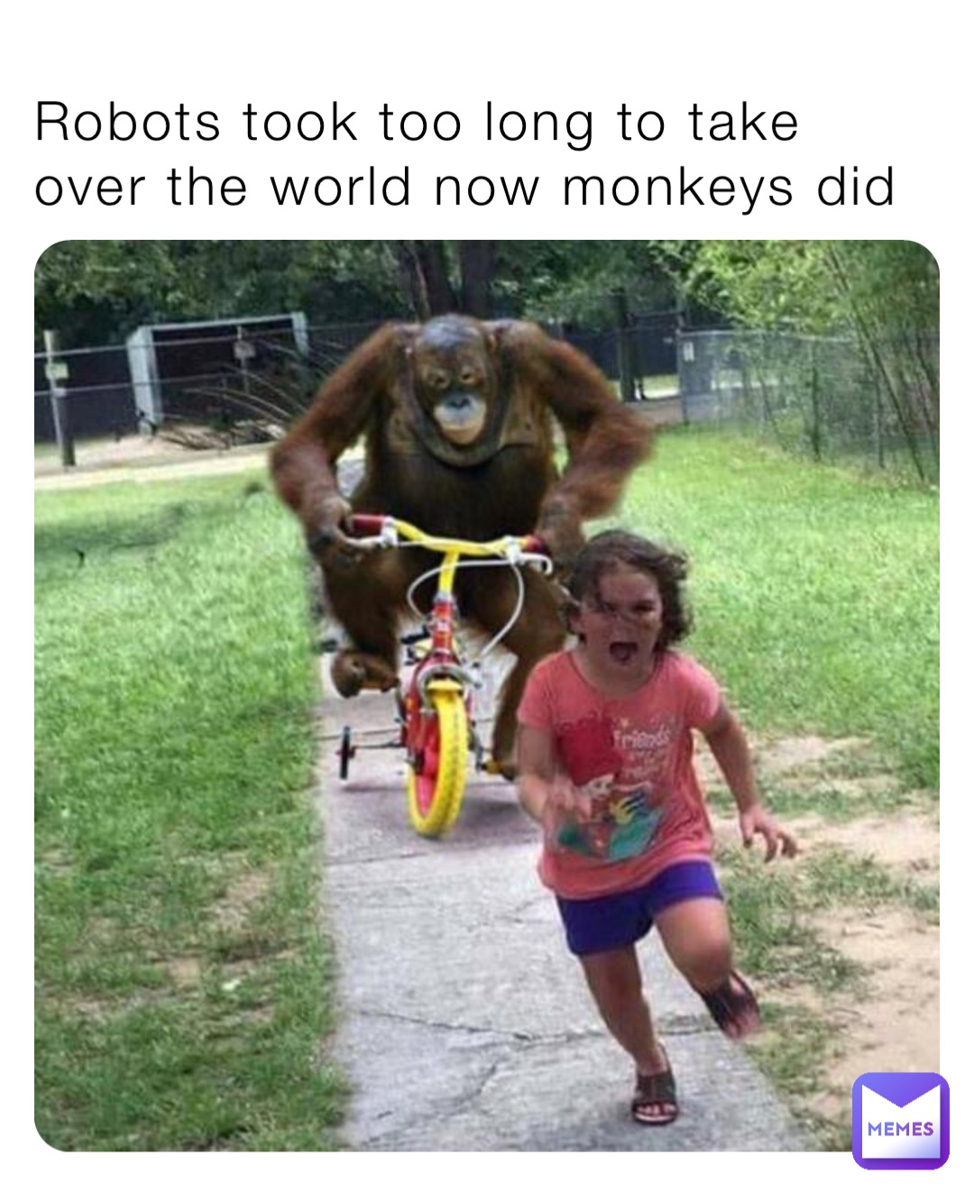 Robots took too long to take over the world now monkeys did