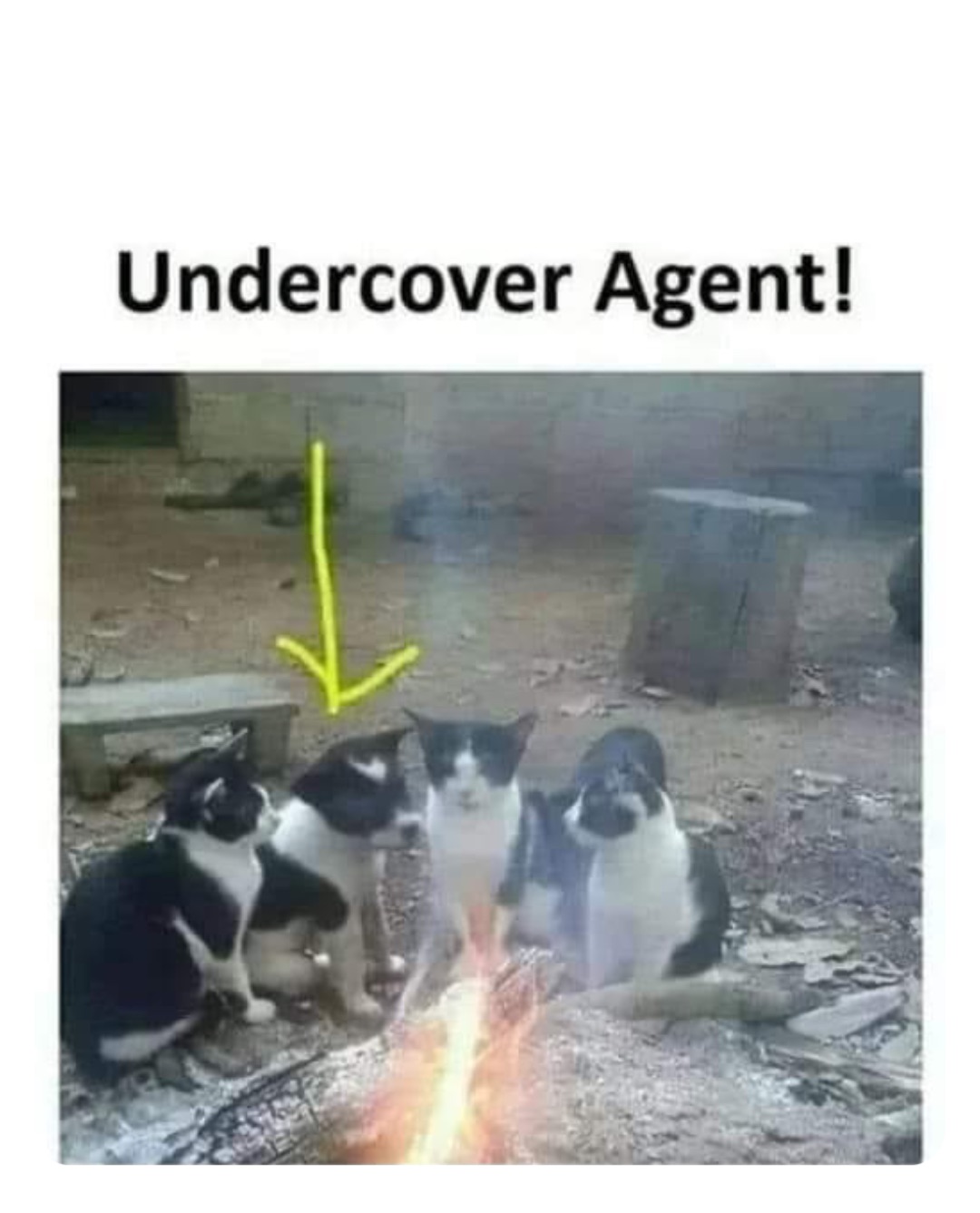 Double tap to edit