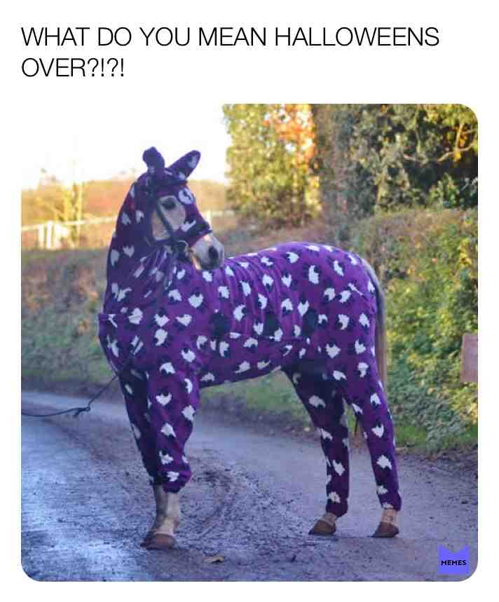 Meme shared by @QueenPuppy16219