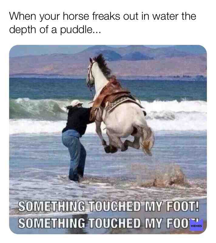 Meme shared by @QueenPuppy16219