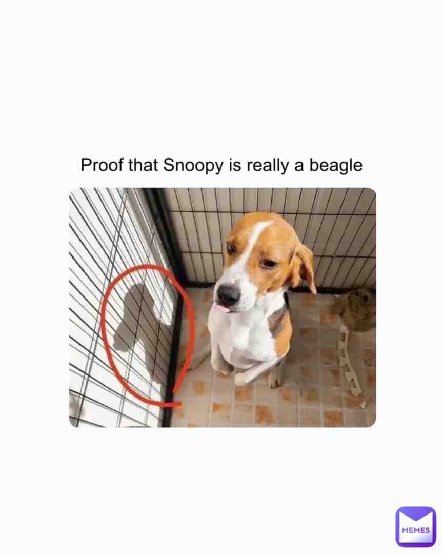 Meme shared by @QueenPuppy16219