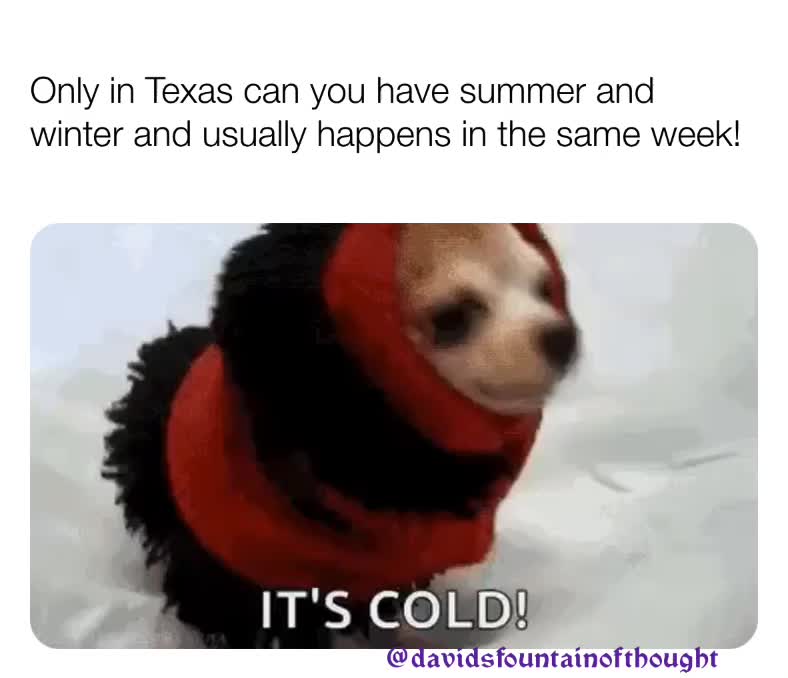 Meme shared by @QueenPuppy16219