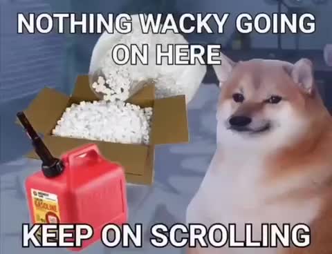 Meme shared by @QueenPuppy16219