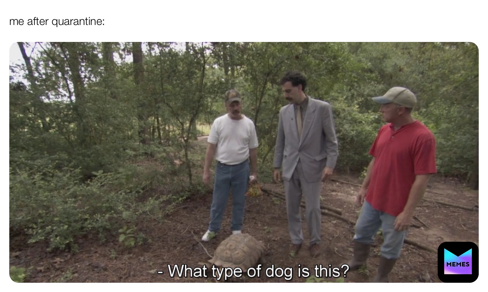 Meme by realatable_memes