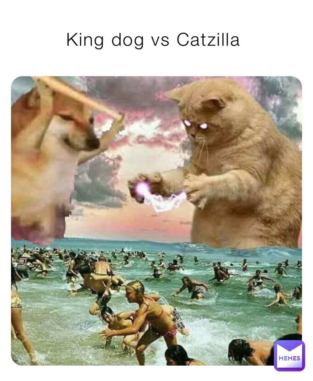 King dog vs Catzilla