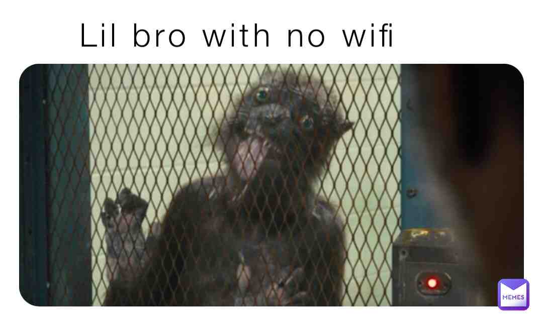 Meme preview