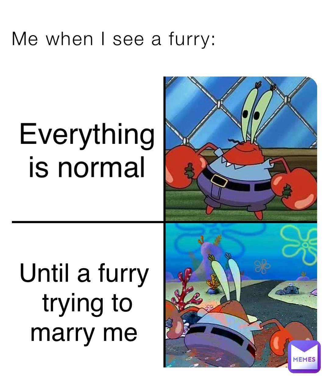 Me when I see a furry: Everything is normal Until a furry trying to marry me