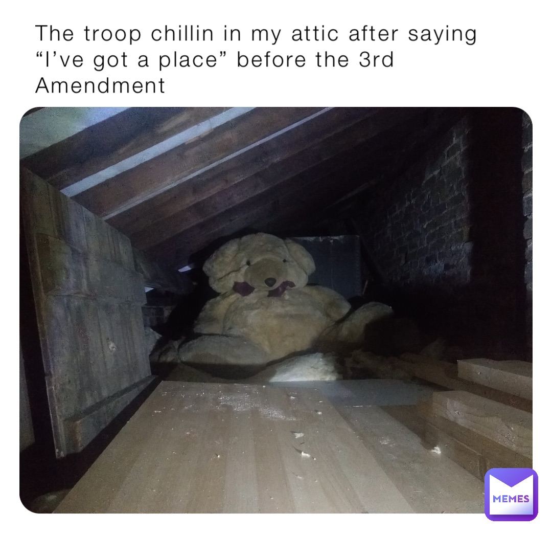 The troop chillin in my attic after saying “I’ve got a place” before the 3rd Amendment