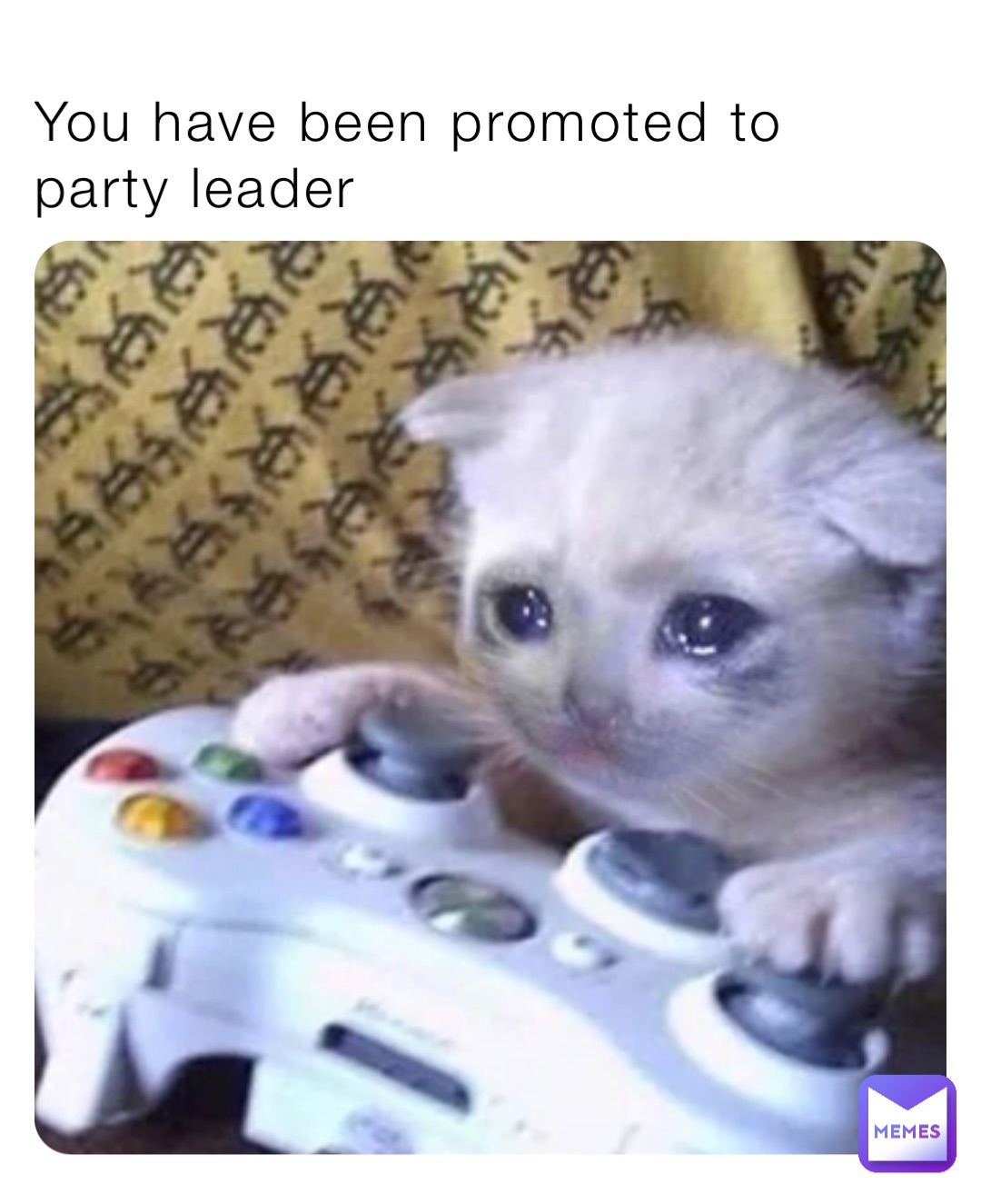 You have been promoted to party leader