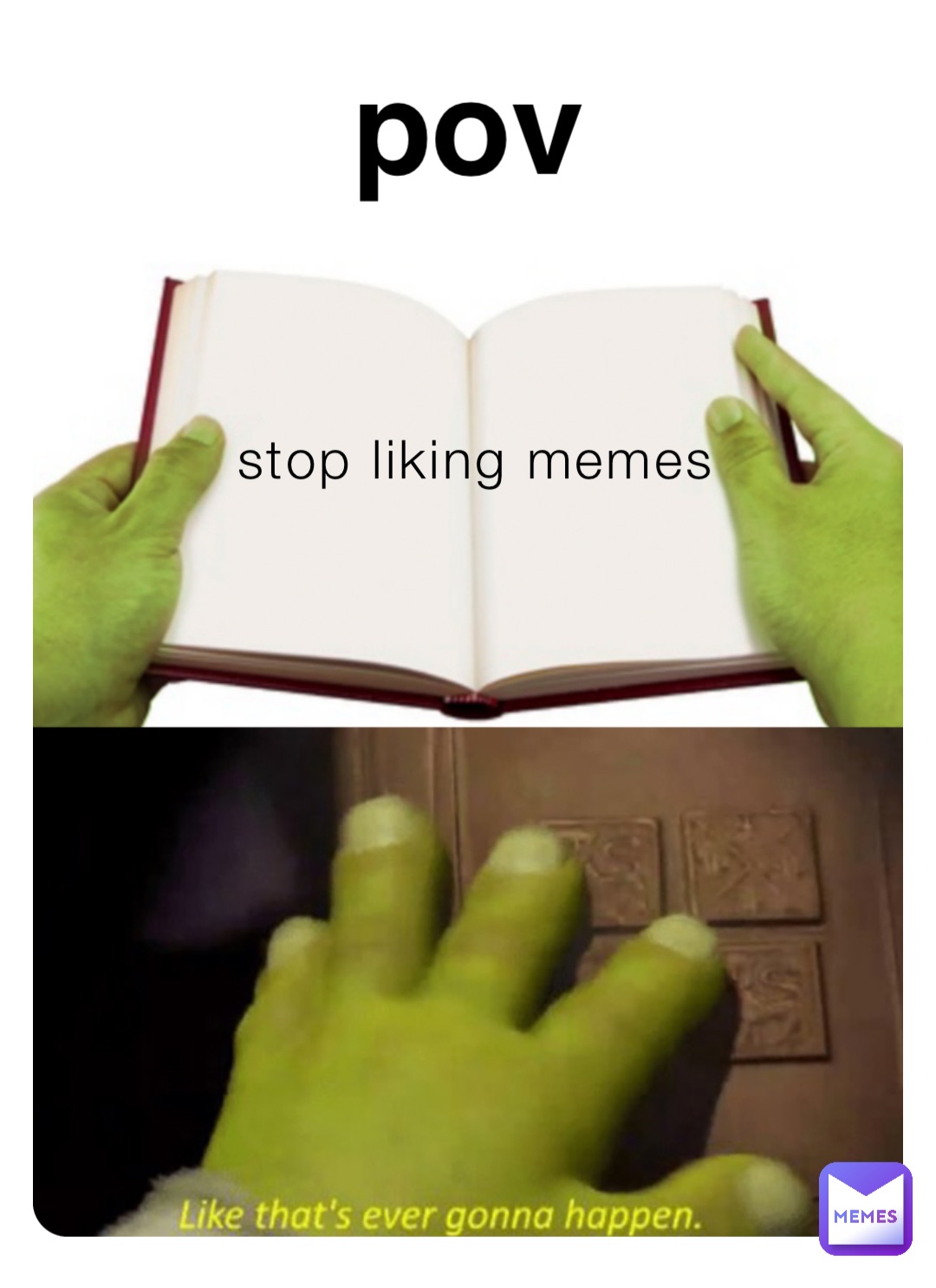 stop liking memes pov