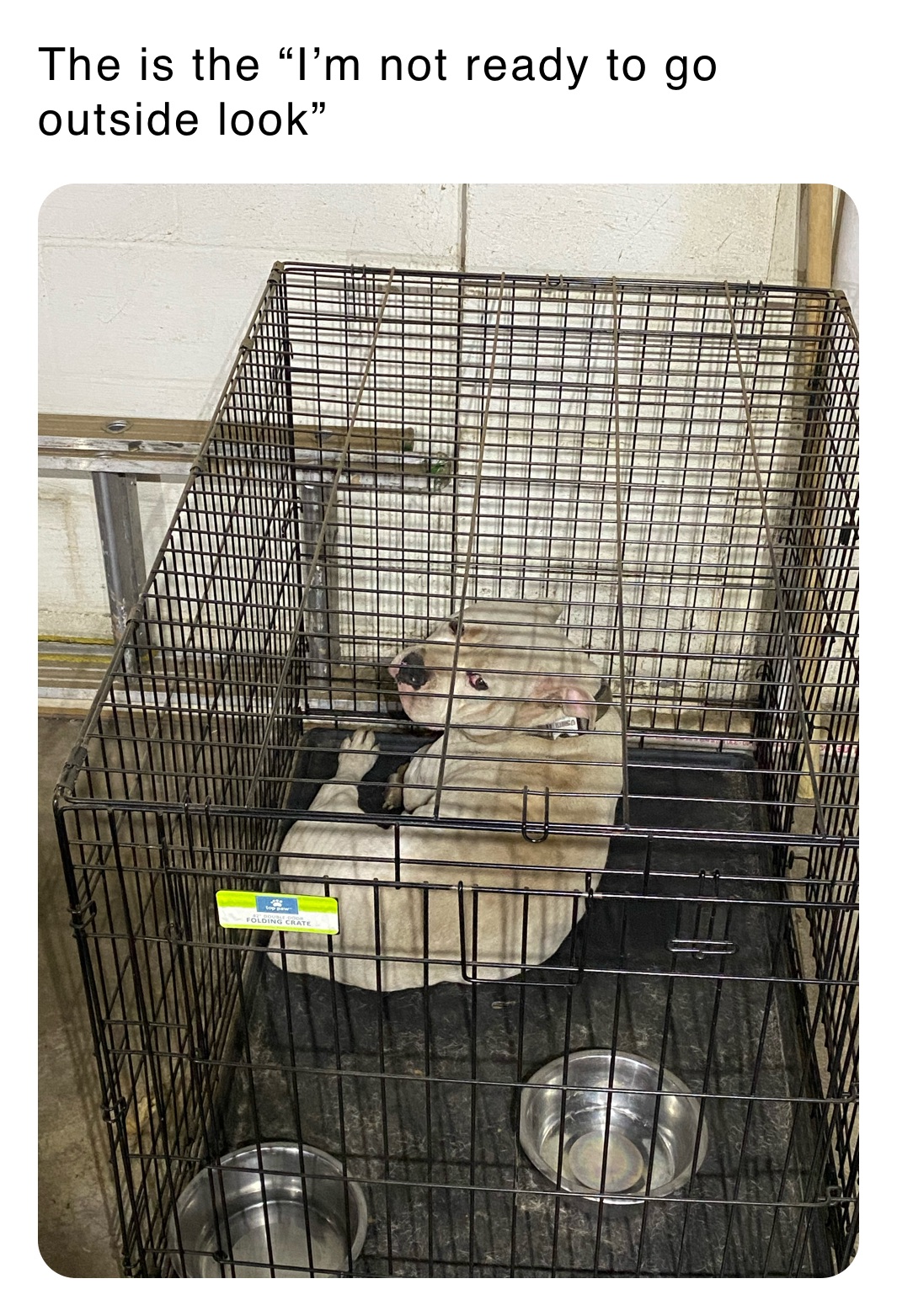 The is the “I’m not ready to go outside look”