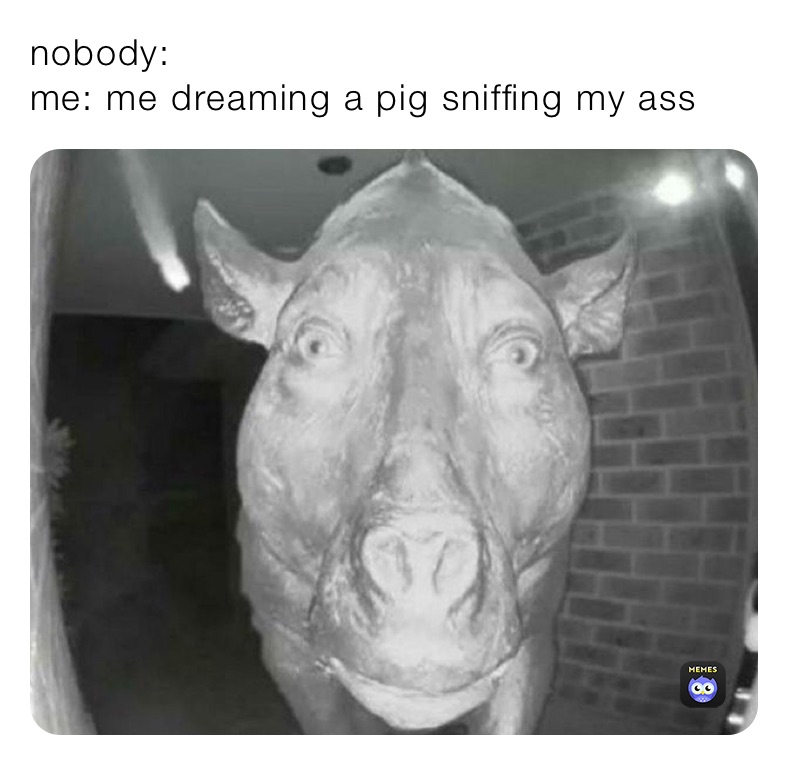 nobody:
me: me dreaming a pig sniffing my ass
