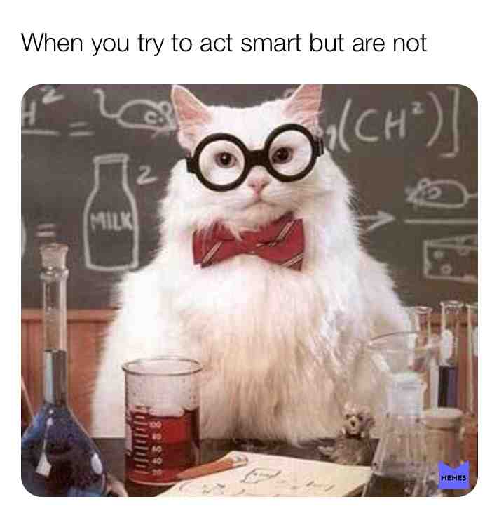 #cats #cat #smartcat #genius #smart #acting #actor #science #try