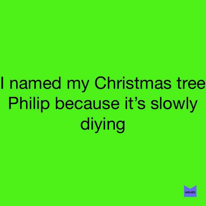 #Hamilton #hamiltrash #Philip #Christmas