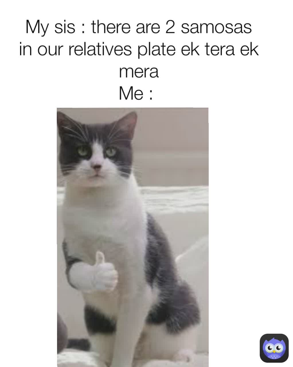 My sis : there are 2 samosas in our relatives plate ek tera ek mera
Me : 