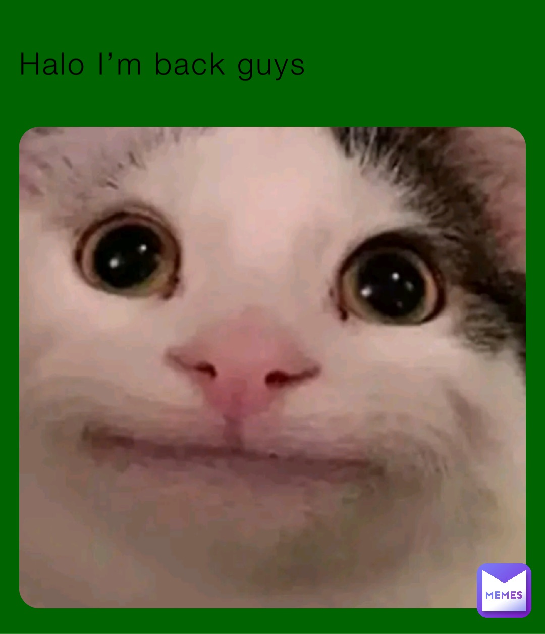 Halo I’m back guys