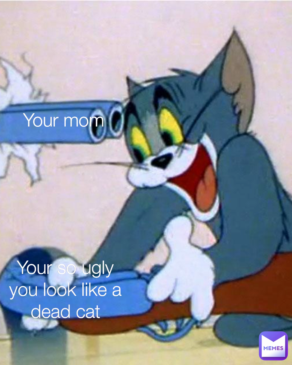 Your mom Your so ugly you look like a dead cat