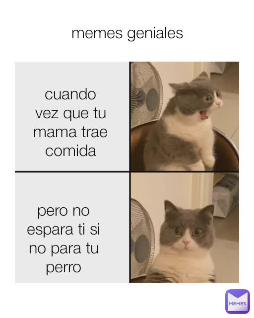 cuando vez que tu mama trae comida pero no espara ti si no para tu  perro memes geniales