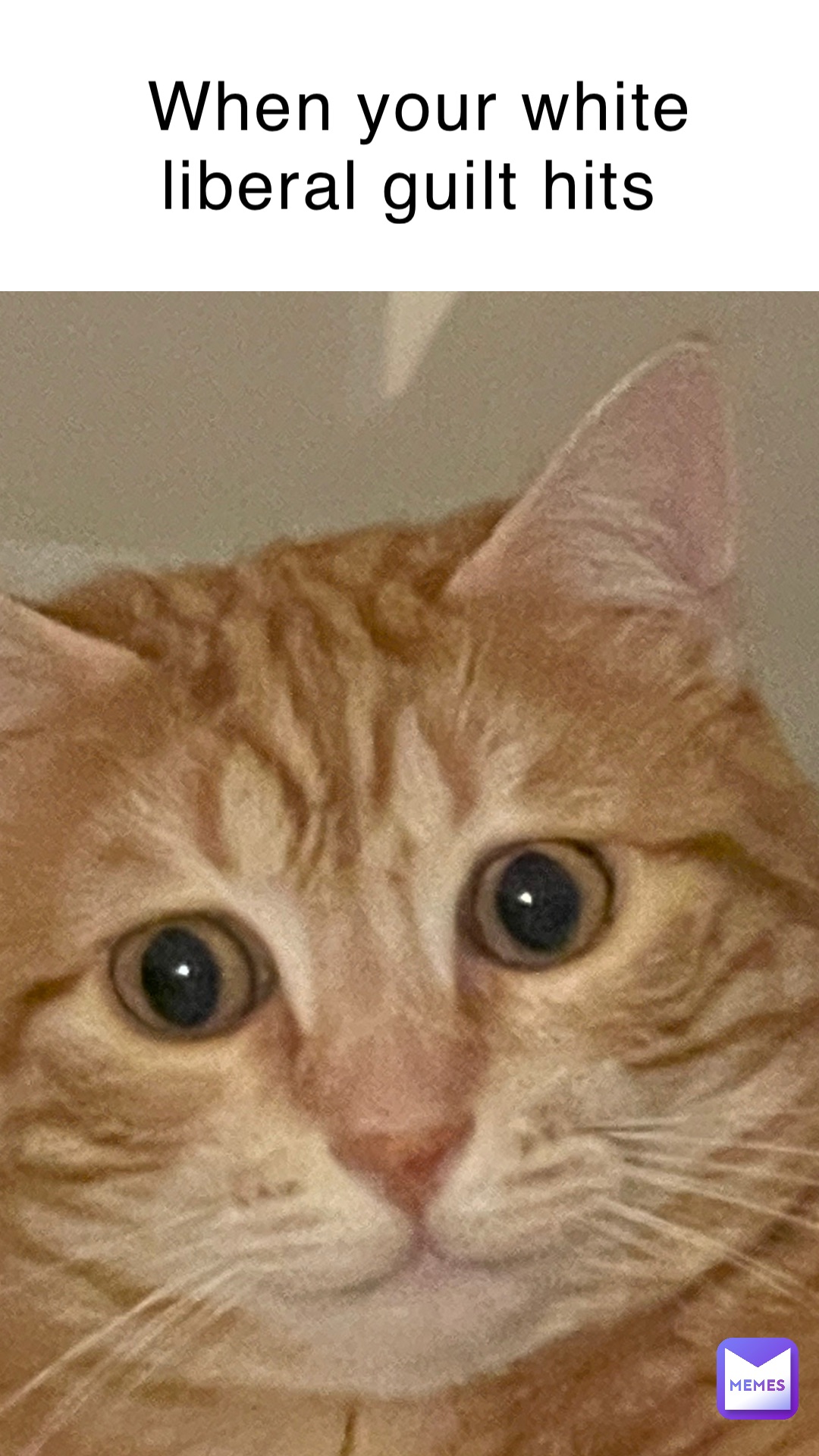 Gaspard Pancrazi Memes