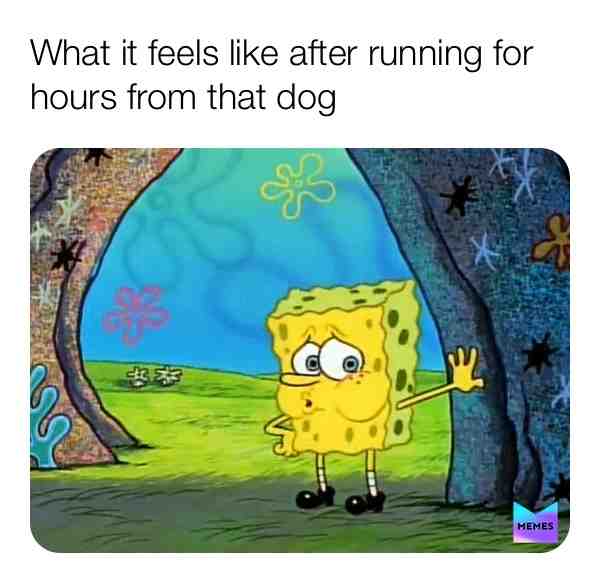 #fyp  #foryou  #foryoupage  #memes  #random  #randomstuff  # randommeme  #memesdaily