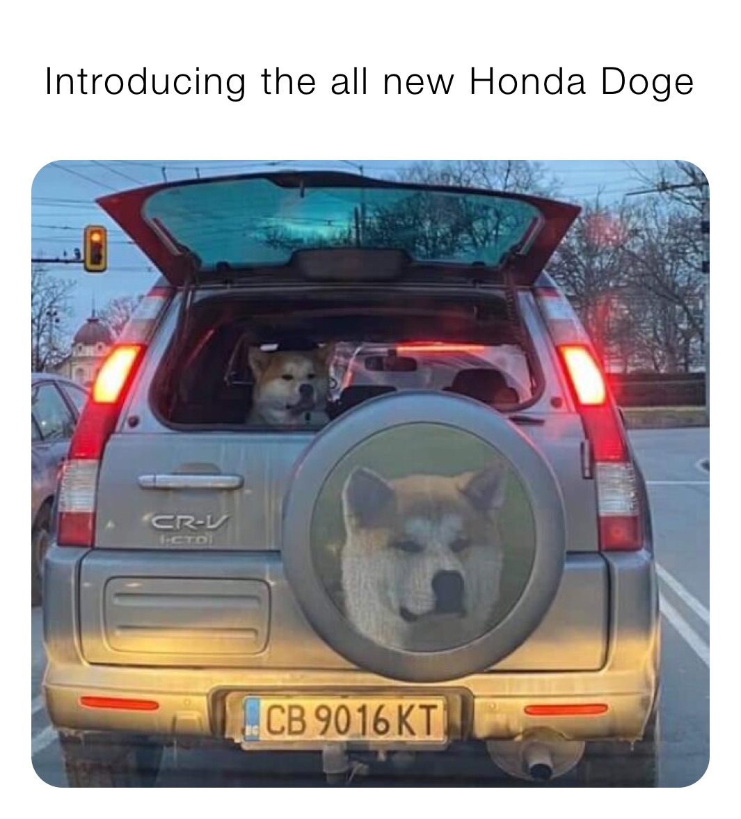 Introducing the all new Honda Doge