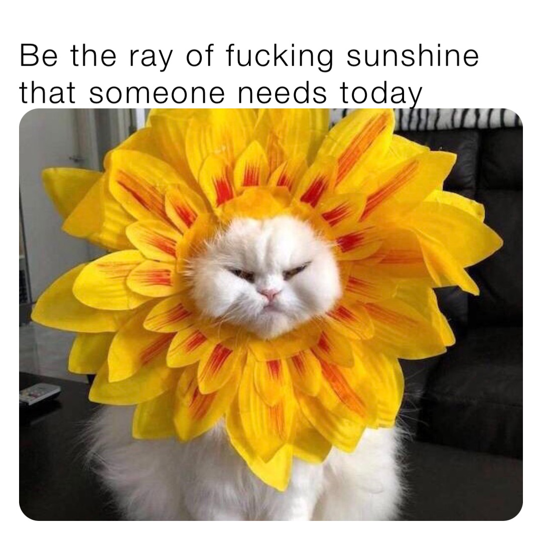 Be the ray of fucking sunshine that someone needs today