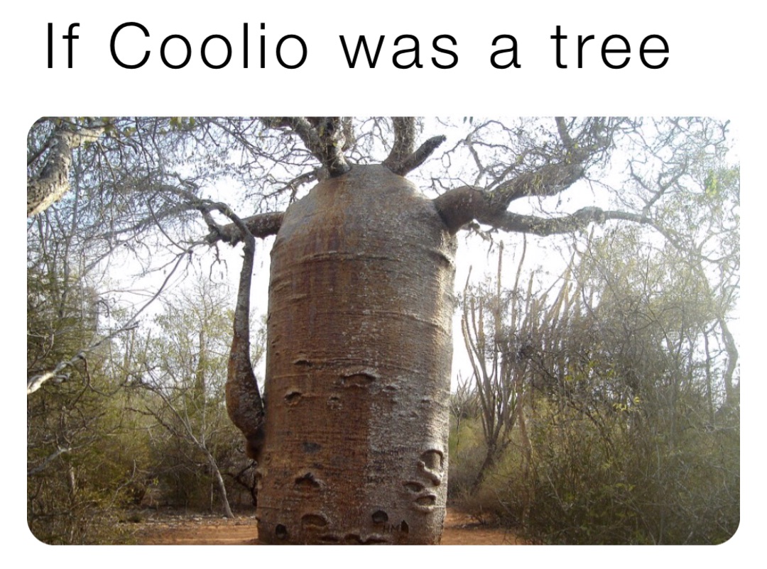 If Coolio was a tree