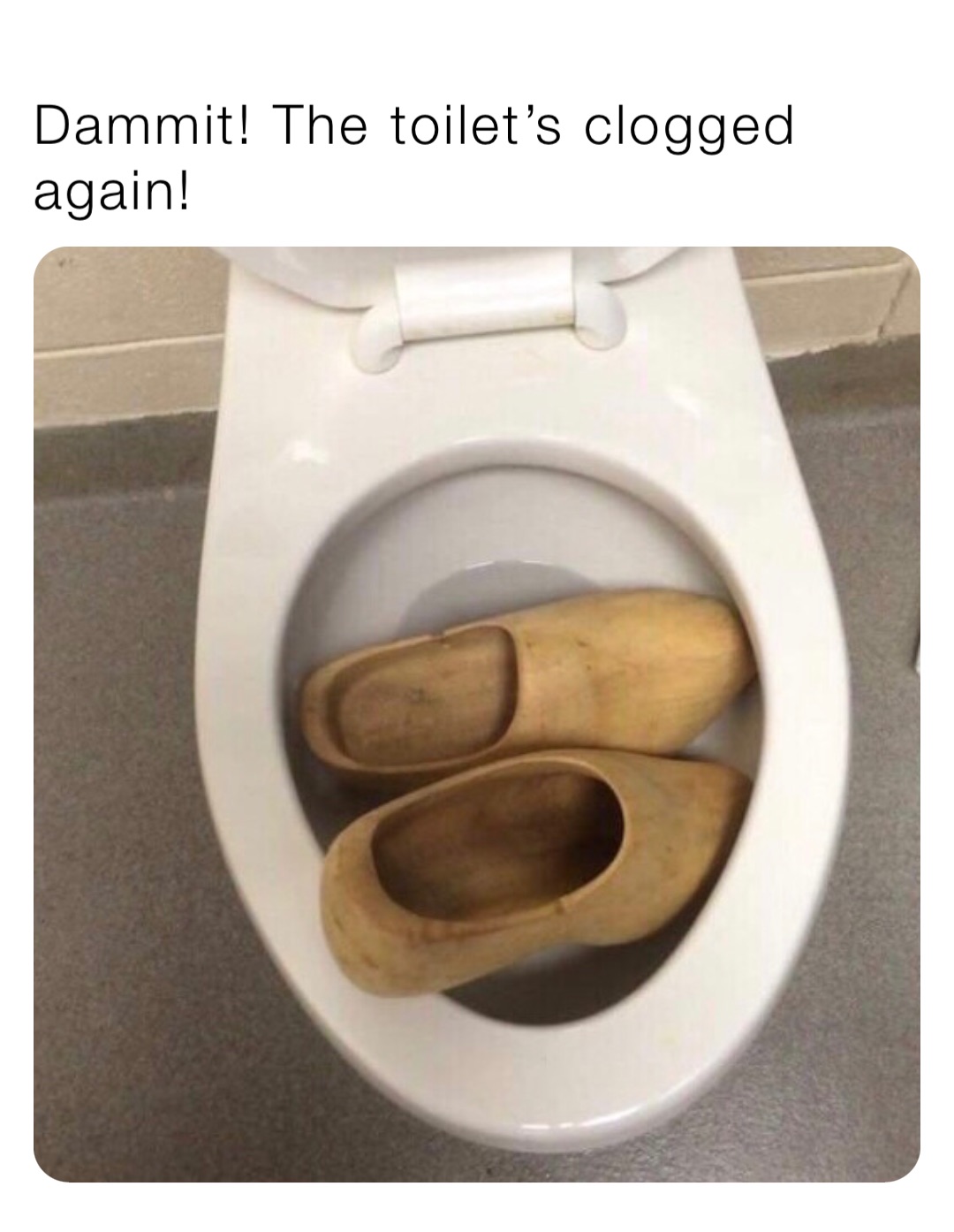 Dammit! The toilet’s clogged again!